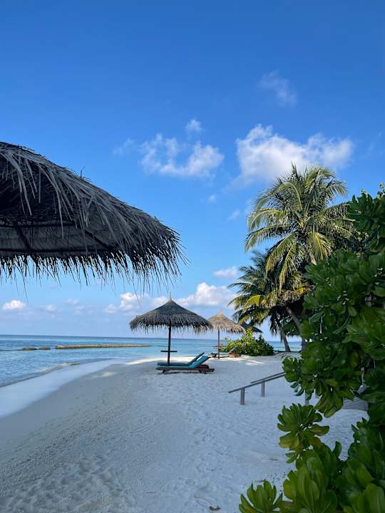 Ausblick Gangehi Island Resort