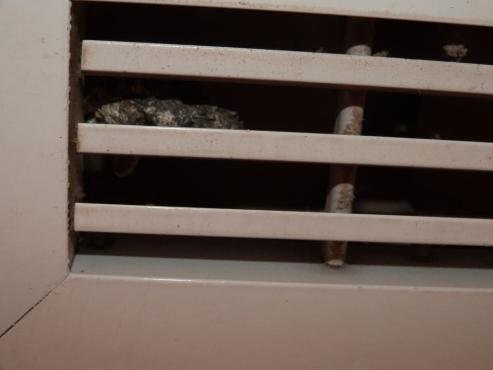 Zimmer Imperial Shams Abu Soma