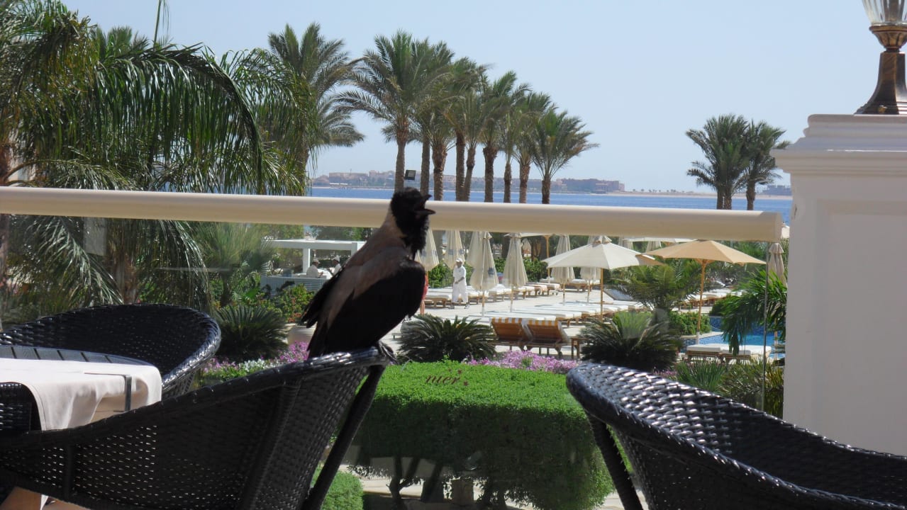 Ausblick beim Frühstücken Premier Le Reve Hotel & Spa