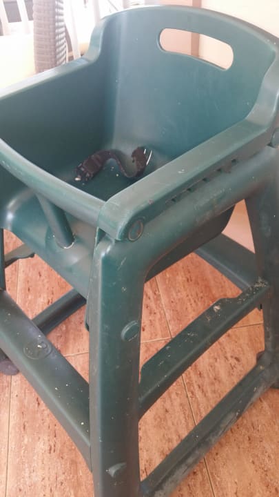 Hier sollte mein Kind essen  Hotel Riu Palace Punta Cana