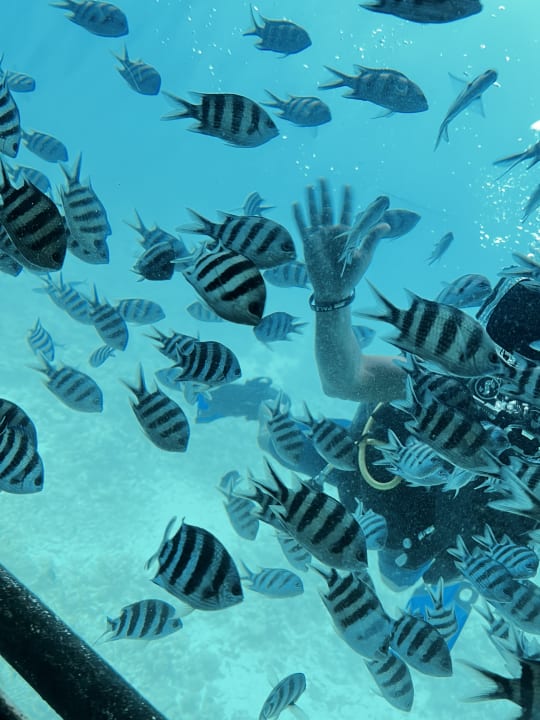 Sport & Freizeit Pickalbatros Alf Leila Wa Leila Resort - Neverland Hurghada