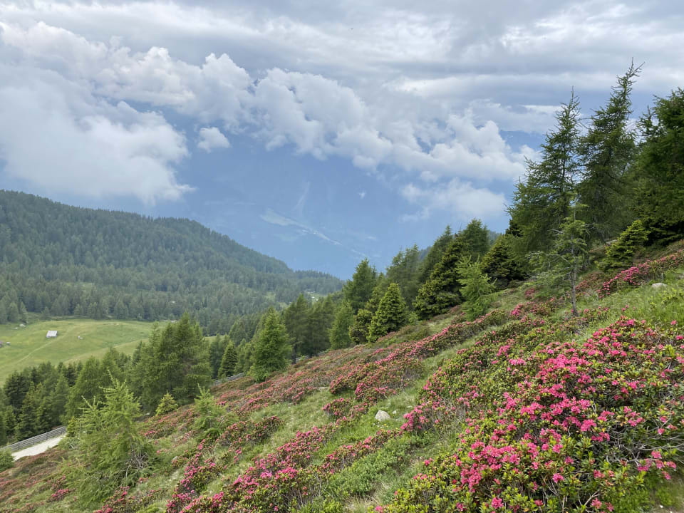 Außenansicht Hotel Lisetta
