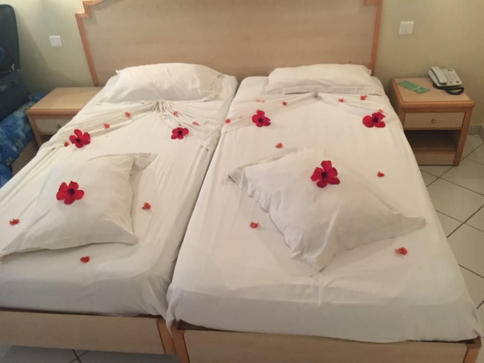 Zimmer Hotel Nesrine