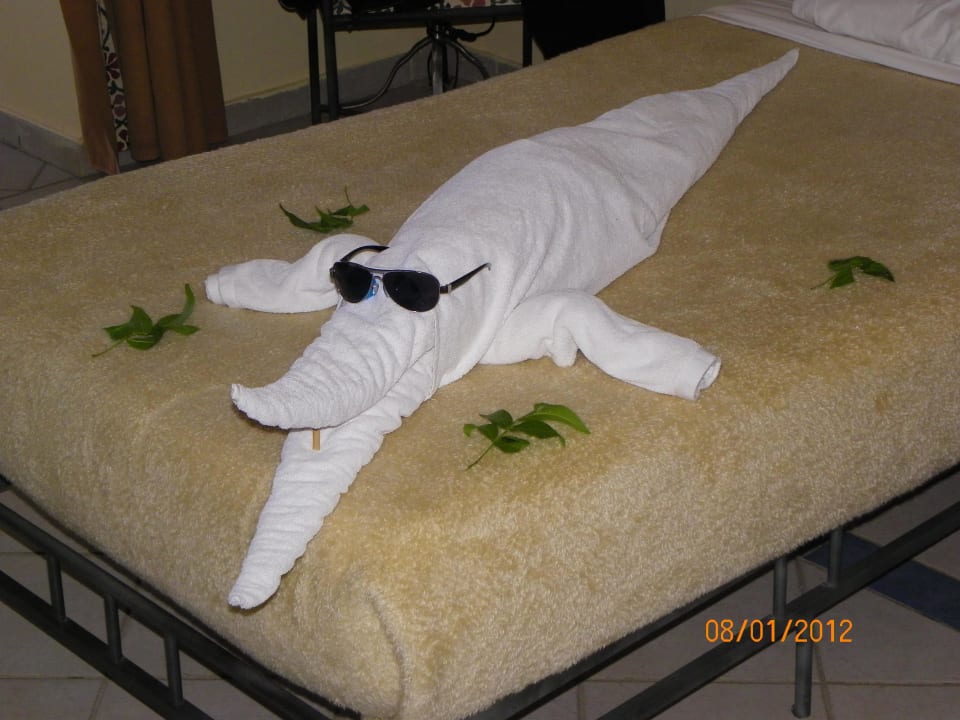 Nette Deko immer Zimmer Jaz Makadi Oasis Resort