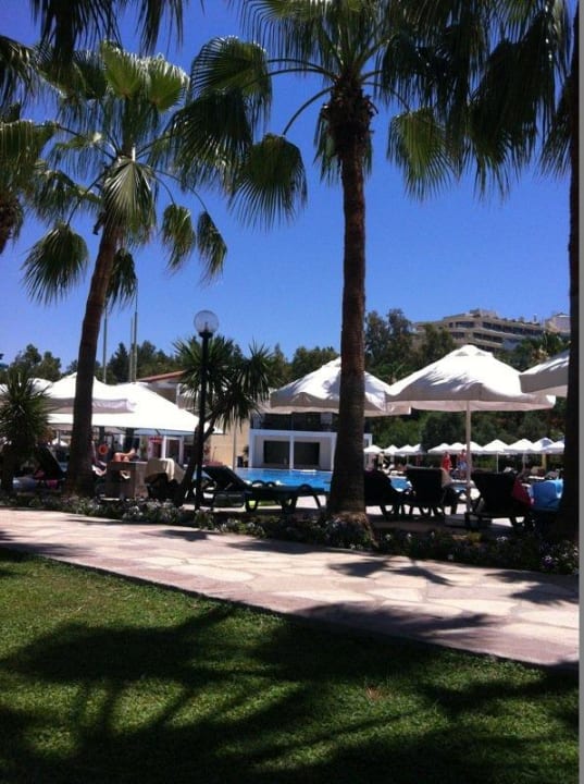 Pool Arum Barut Collection