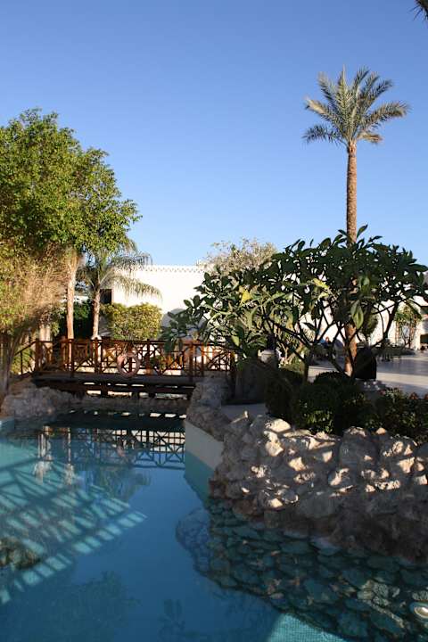 Pool Ghazala Gardens