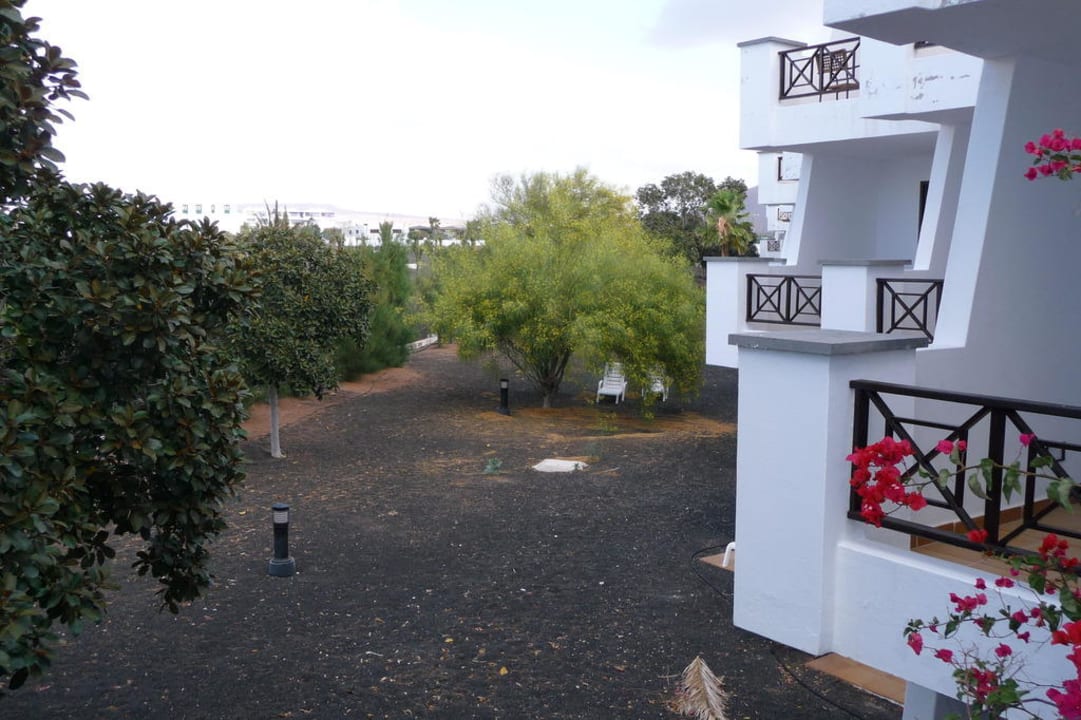 Blick in den Garten vom Balkon allsun App.-Hotel Albatros