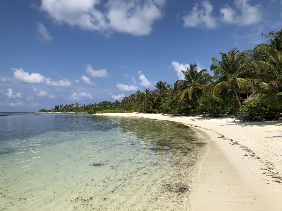 Außenansicht Kuredu Island Resort & Spa