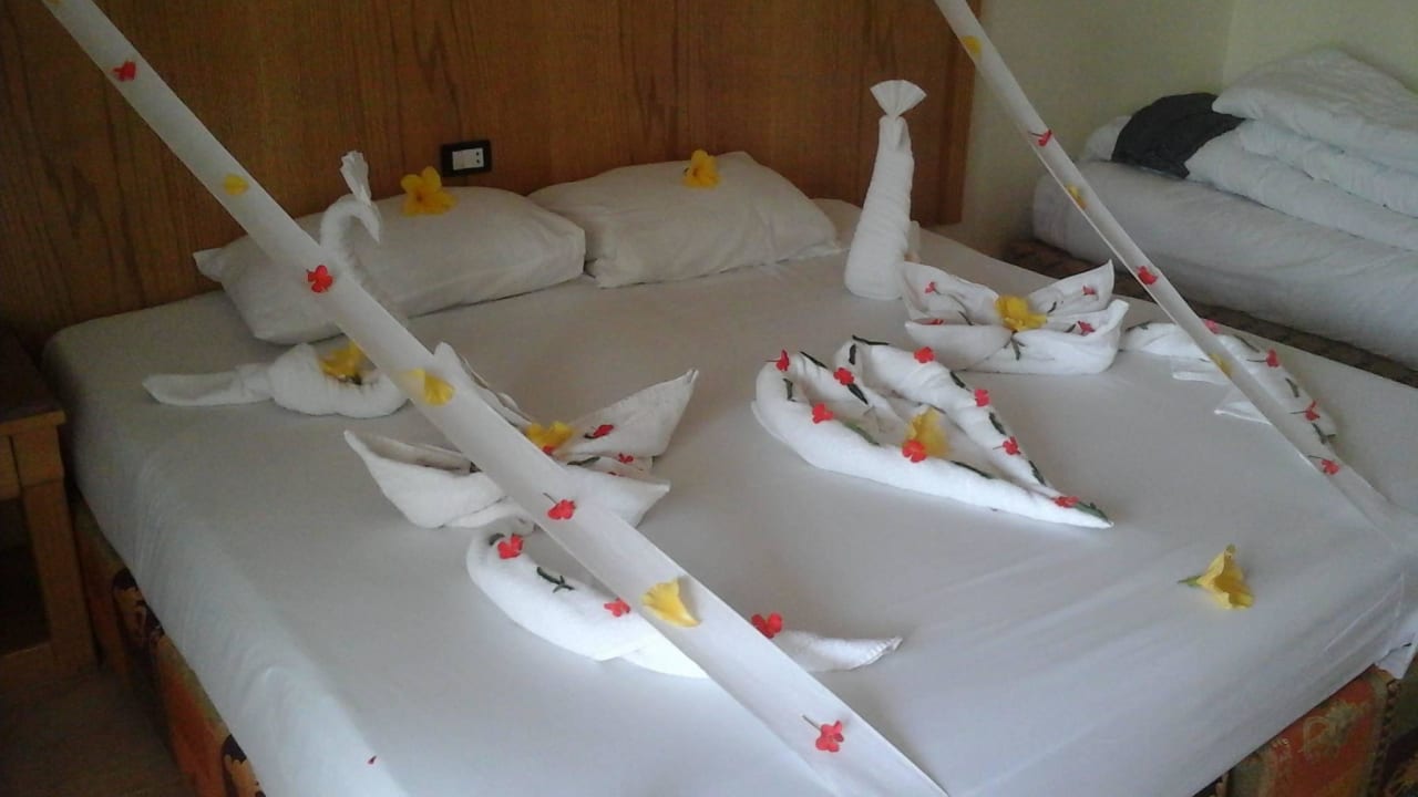 Jeden Tag eine Überraschung  Pickalbatros Alf Leila Wa Leila Resort - Neverland Hurghada