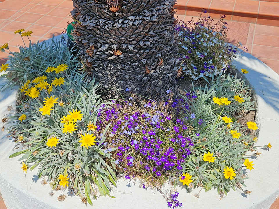 Gartenanlage Poggio Aragosta