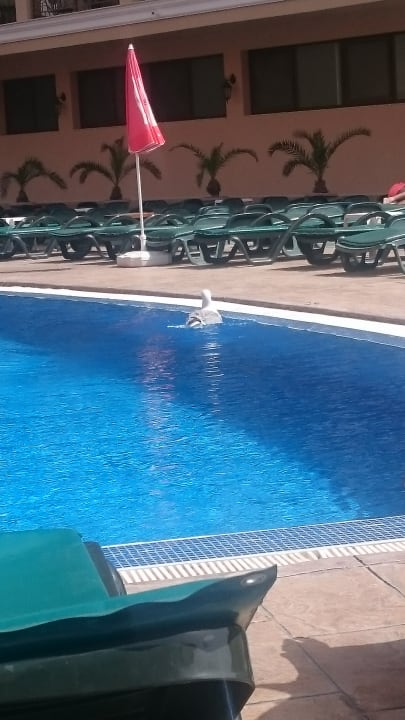 Außenansicht Hotel Mena Palace