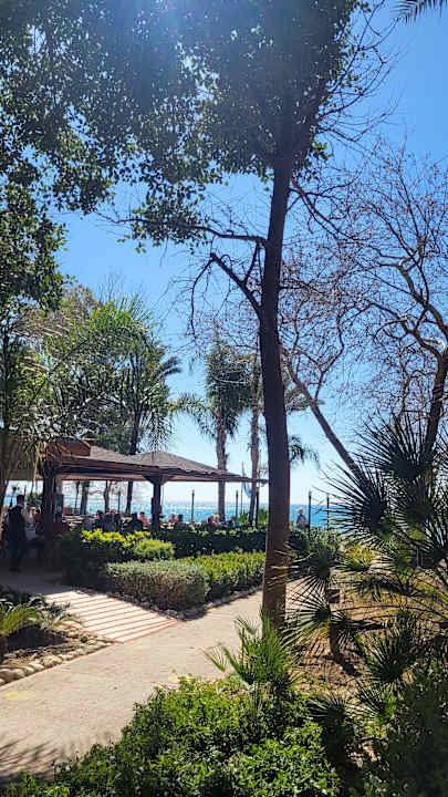 Ausblick Side Star Elegance