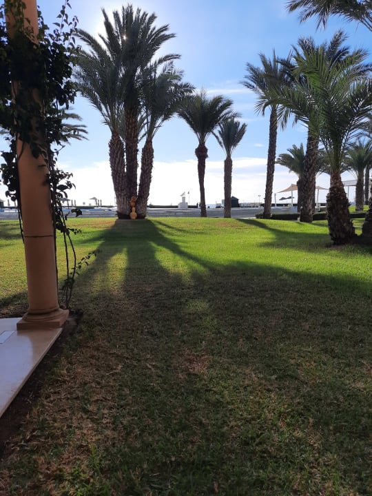 Gartenanlage Iberostar Waves Averroes