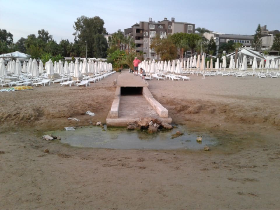 Strand PALOMA Perissia