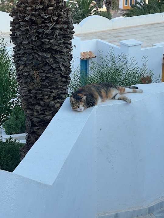 Sonstiges Lagas Aegean Village