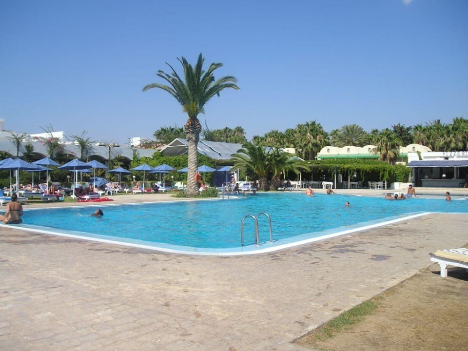 Pool AQI Venus Beach