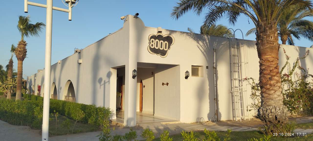 Gartenanlage Desert Rose