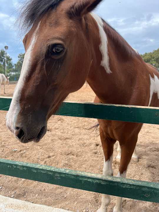 Sport & Freizeit Starlight Resort Hotel