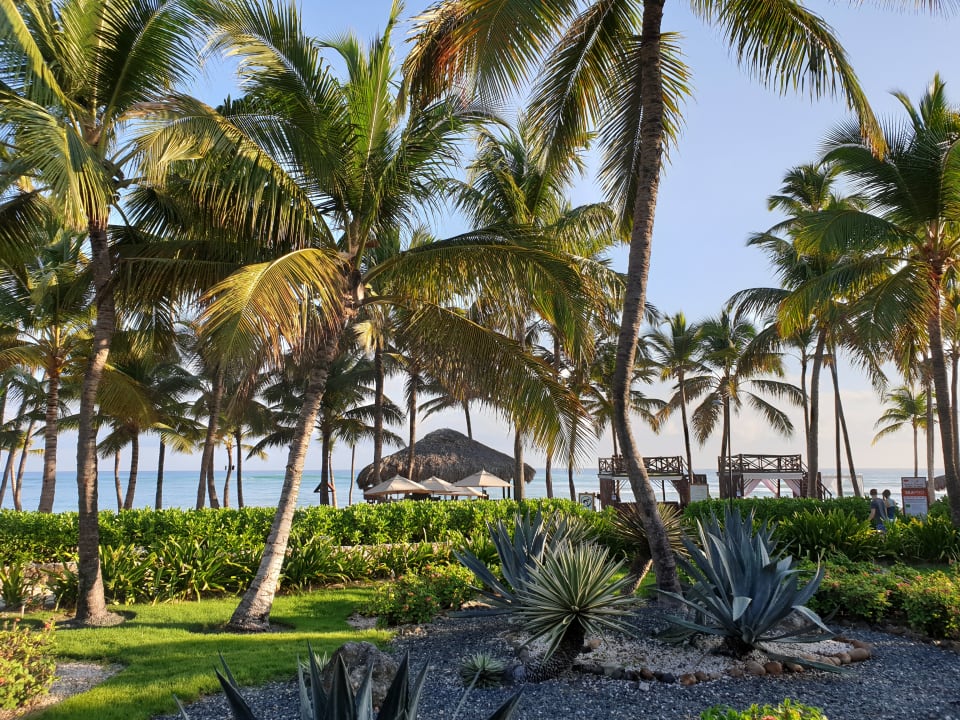 Gartenanlage Wyndham Alltra Punta Cana