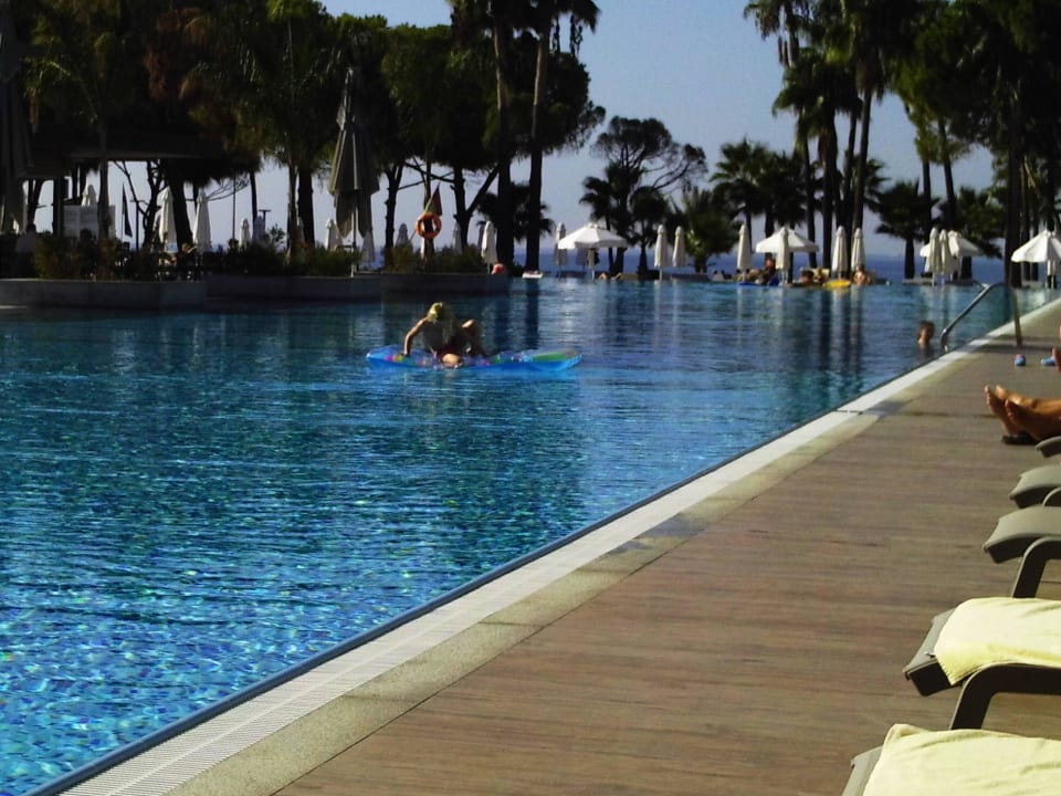 Pool Acanthus Cennet Barut Collection