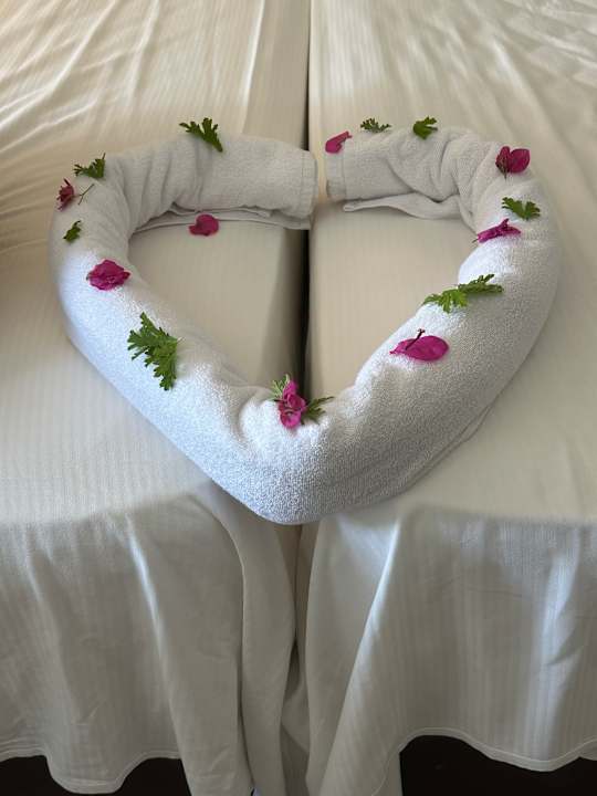 Zimmer Barceló Concorde Green Park Palace