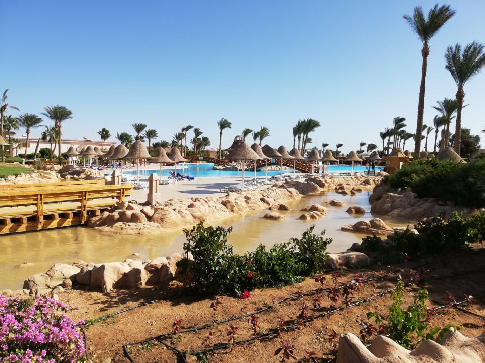 Gartenanlage Parrotel Beach Resort