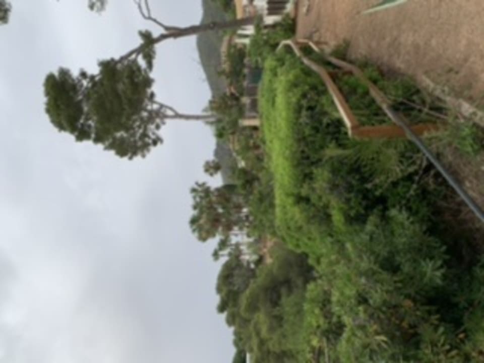 Außenansicht Hipotels Eurotel Punta Rotja Golf & Spa