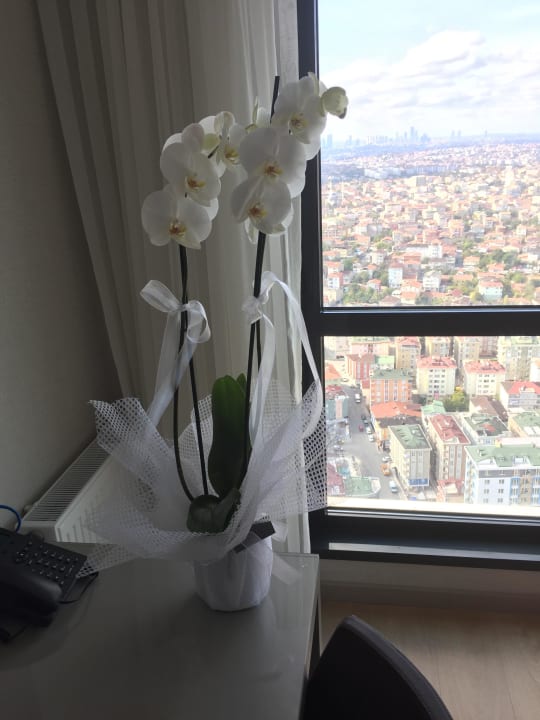 Super Apartment Fraser Place Antasya Istanbul