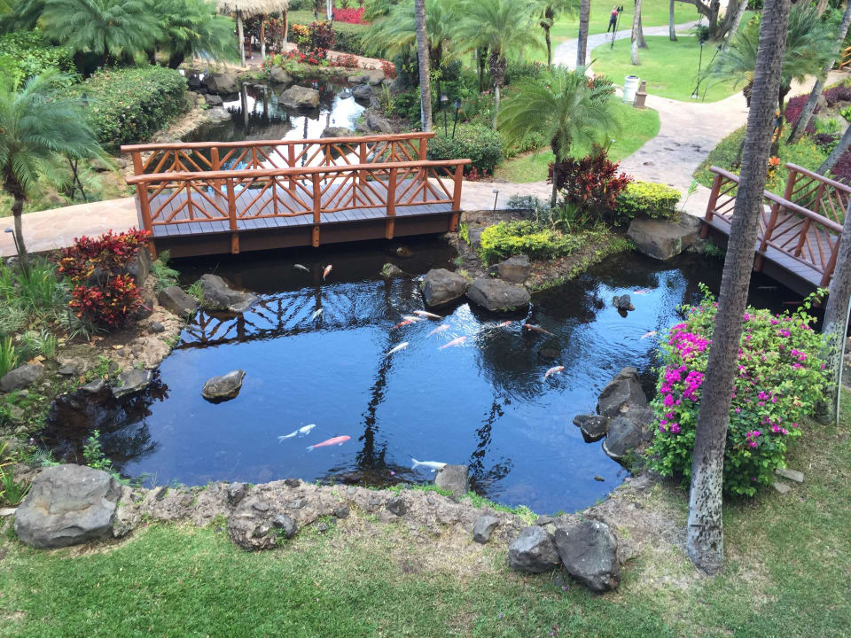 Gartenbereich Grand Wailea A Waldorf Astoria Resort