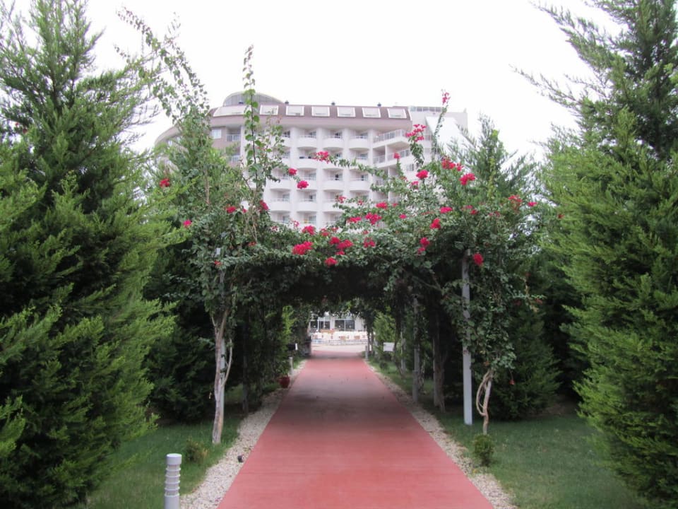 Fußweg Saturn Palace Resort Hotel