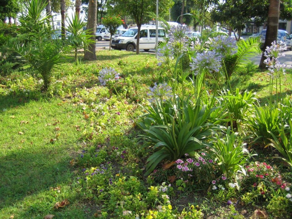 Lilien Grand Nar Hotel