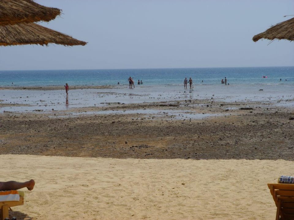 Strand - Wasser weg Pickalbatros Palace Resort