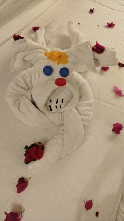 Zimmer Mövenpick Waterpark Resort & Spa Soma Bay