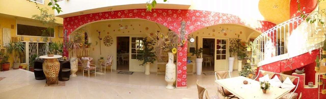 Interior yard Living with Art