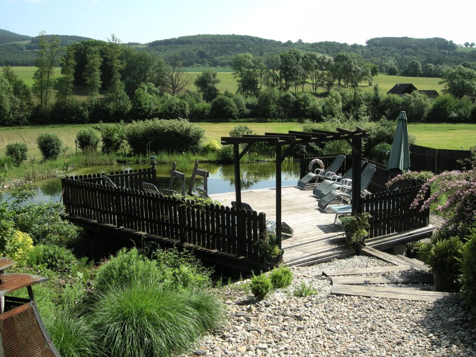 Schwimmbiotop Zur Grünen Au