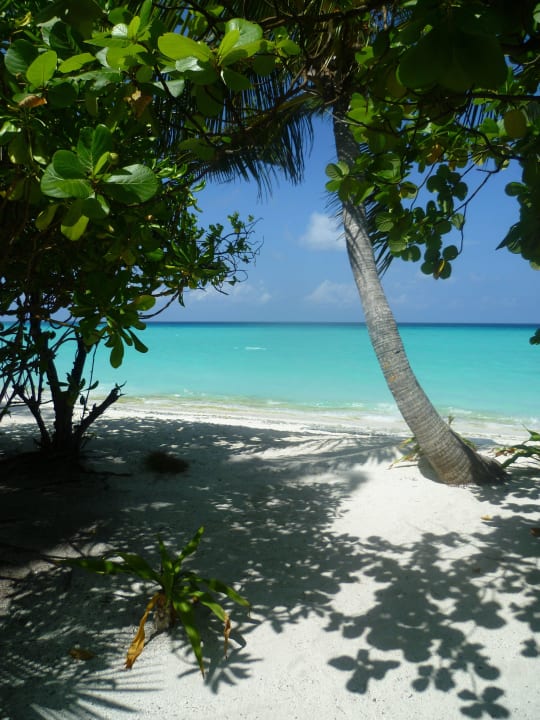 Wunderzauberhaftig  Kuramathi Maldives
