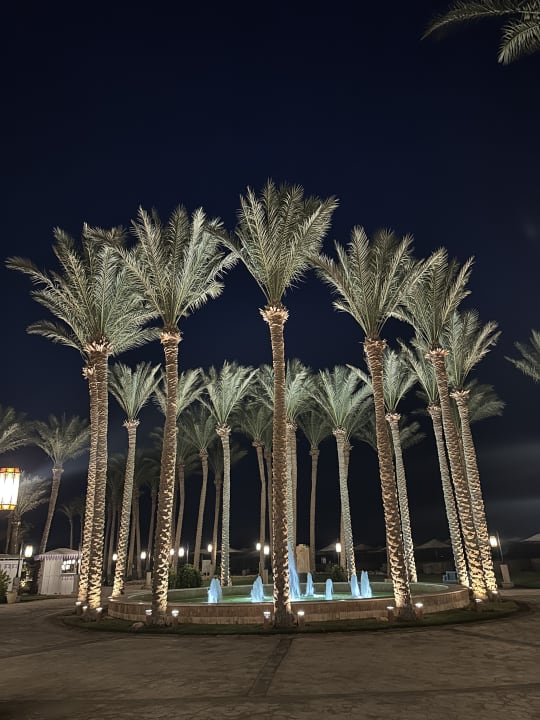 Gartenanlage Makadi Spa - Adults only