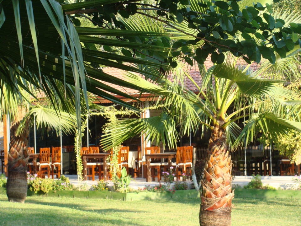 Terrasse vom Abendbuffet Grenadine Lodge