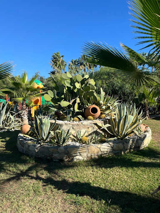 Gartenanlage Dream World Palace Hotel