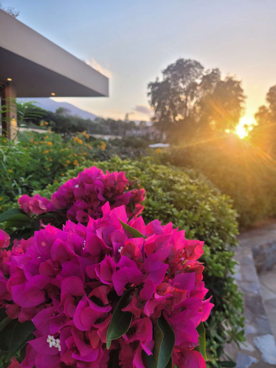 Gartenanlage Kernos Beach Hotel & Bungalows