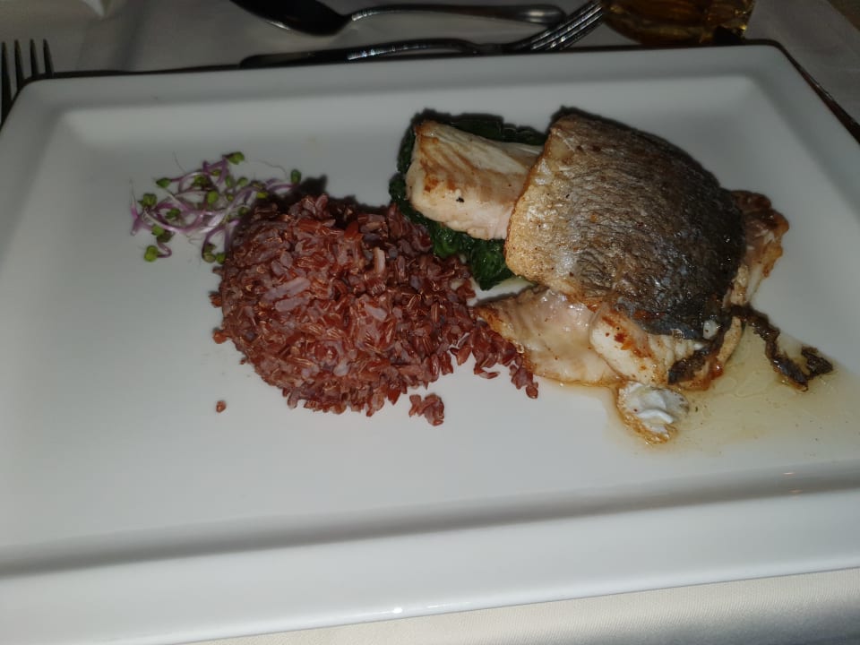 Gastro Rigi Kaltbad Swiss Quality Hotel