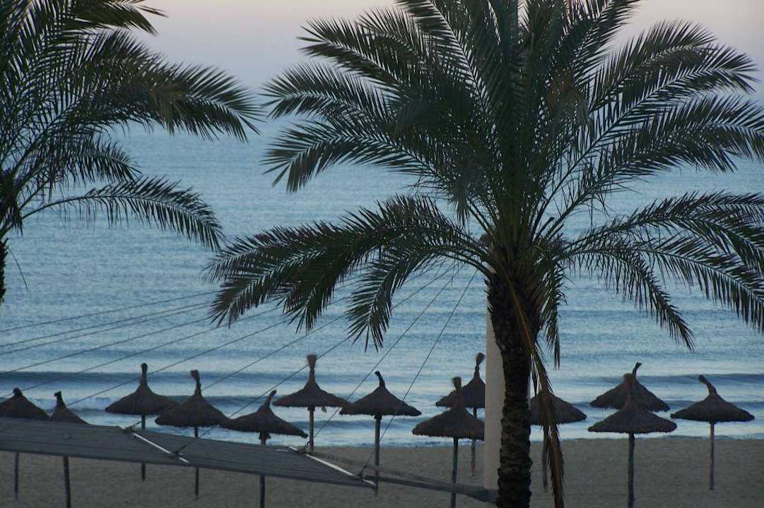 Der Blick vom Balkon Zimmer 223 Iberostar Waves Bahia de Palma