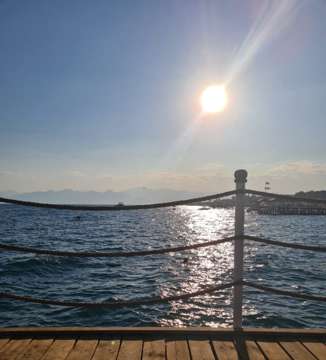 Strand Royal Seginus