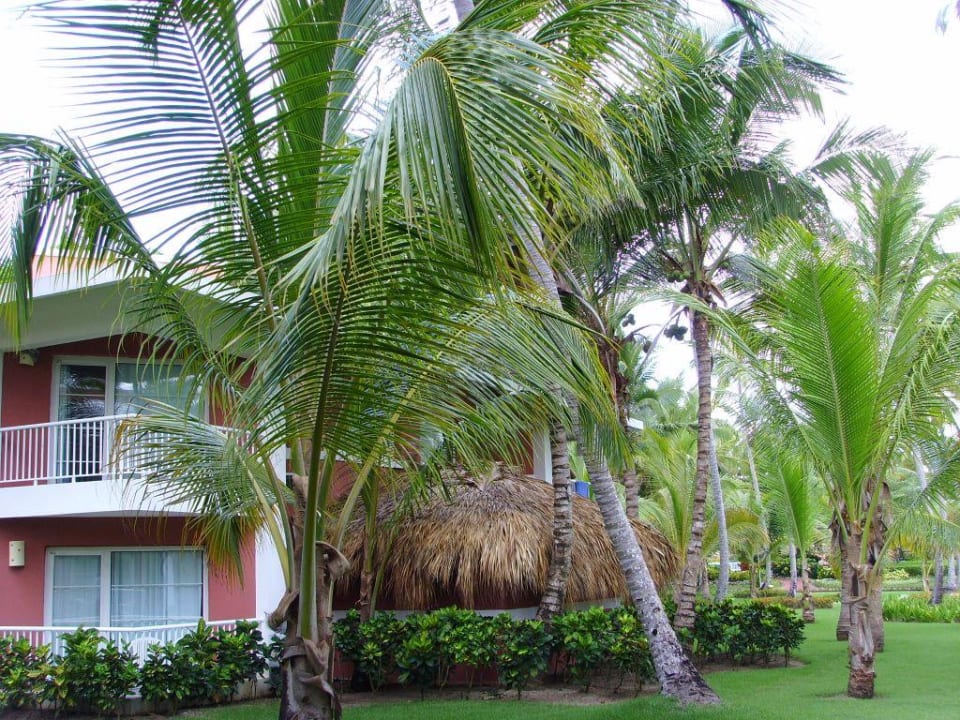 Romantiksuite von aussen Grand Palladium Select Bávaro Resort & Spa