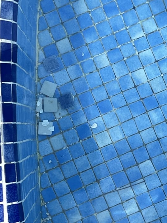 Pool Ona Palmira Paguera