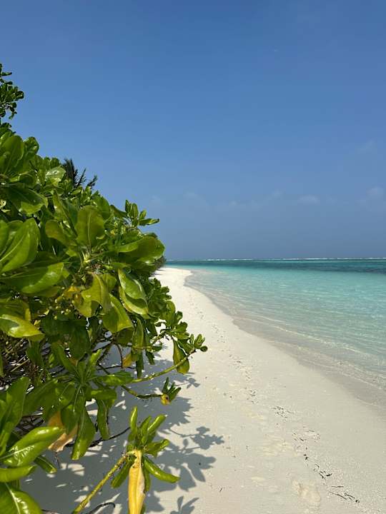 Strand Jawakara Islands Maldives