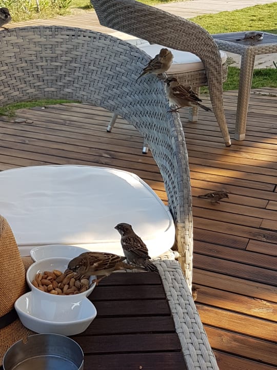 Gastro Xanadu Resort Hotel