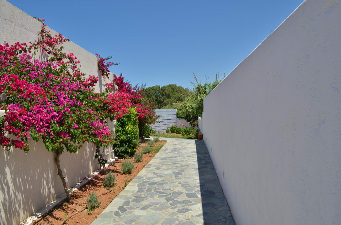 In der Anlage und auf dem Weg zum Pool Knossos Beach Bungalows Suites Resort & Spa