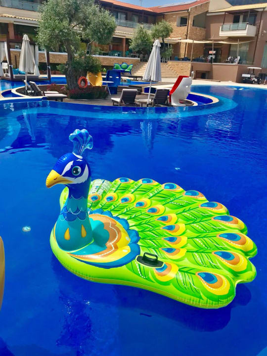 Poolbewohner Alexandra Golden Boutique - Adults only