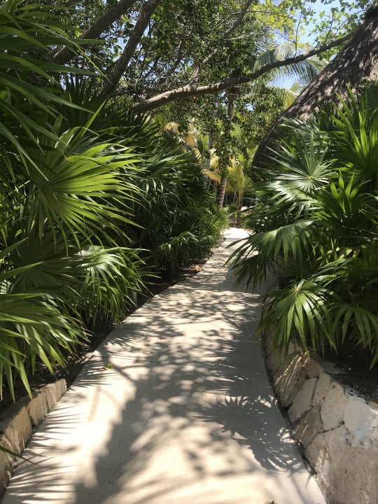 Gartenanlage Akumal Bay Beach & Wellness Resort